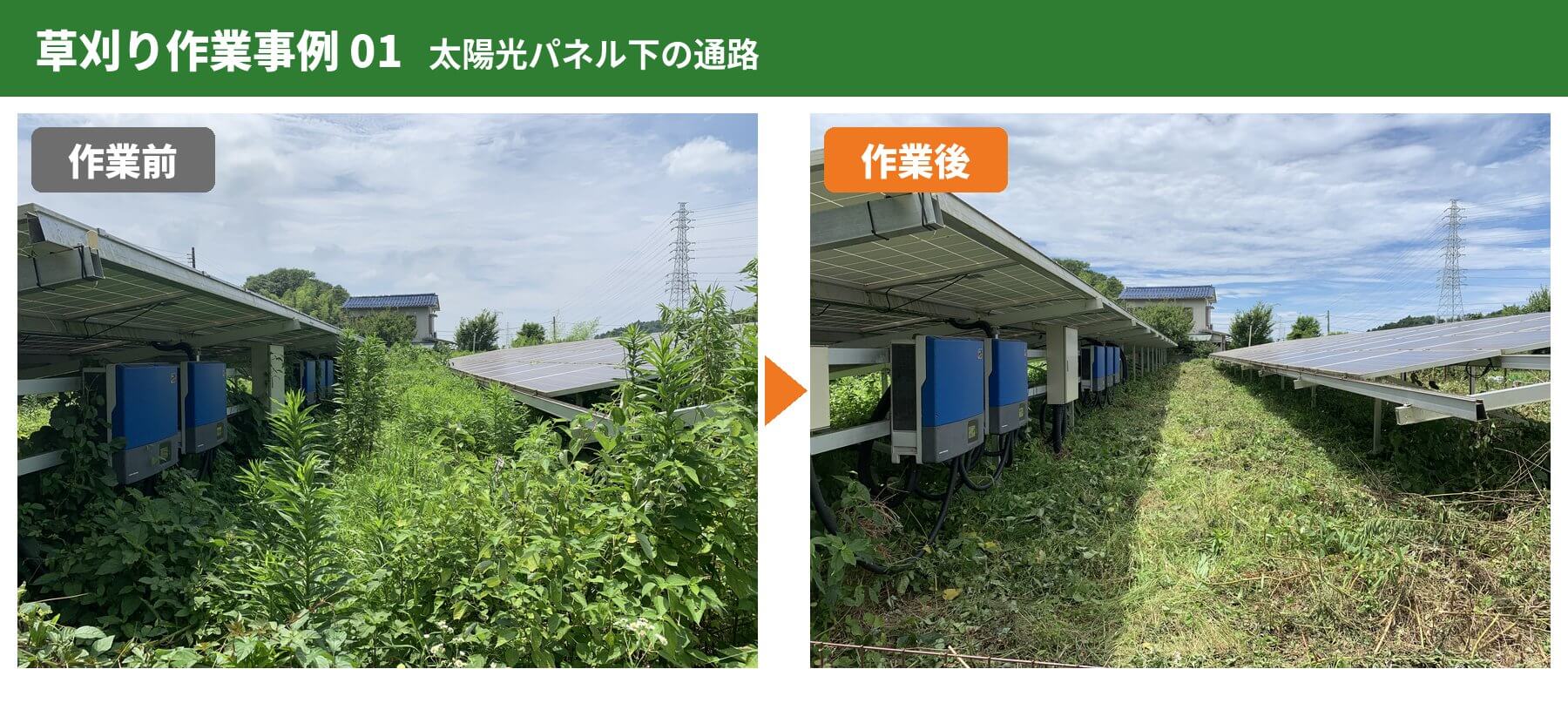 草刈り作業事例1:太陽光パネル下の通路の作業前と作業後