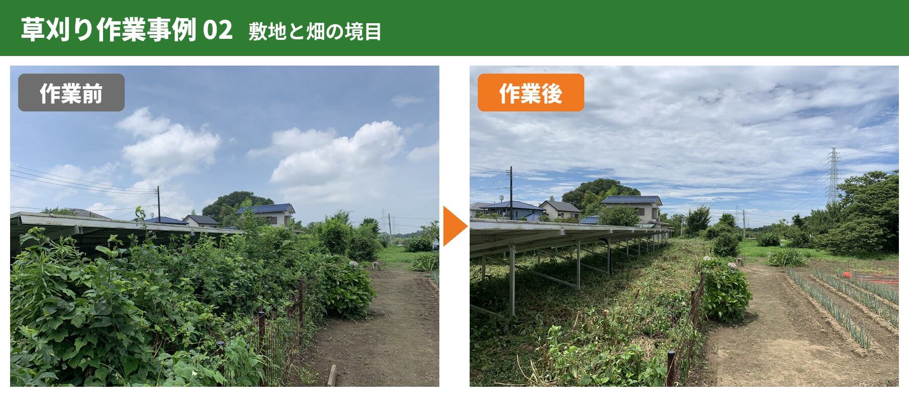 草刈り作業事例2:敷地と畑の境目の作業前と作業後