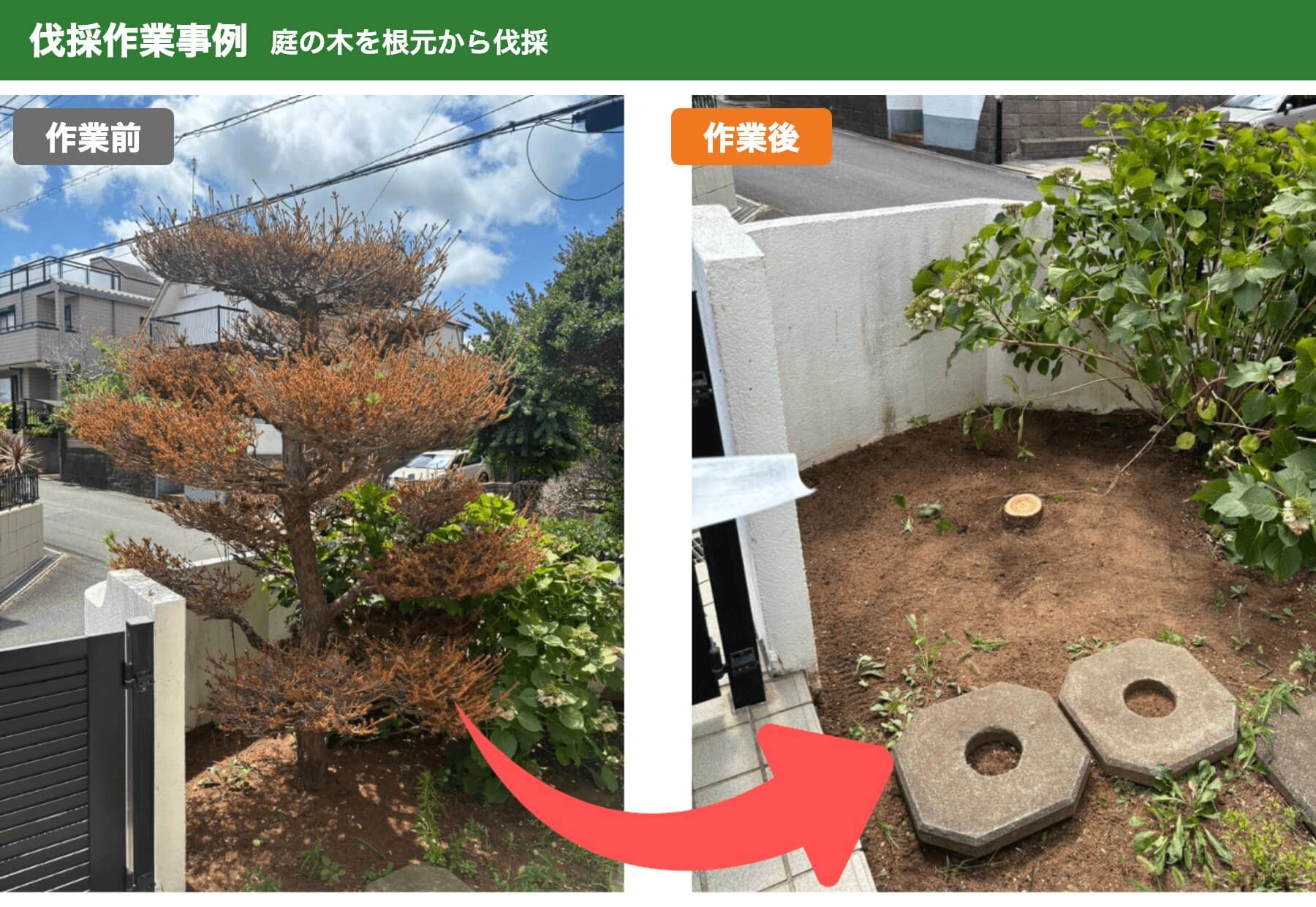 伐採作業事例：庭の木を根元から伐採の作業前と作業後