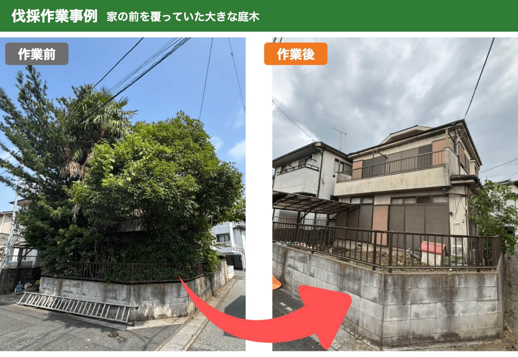 伐採作業事例：家の前を覆っていた大きな庭木の作業前と作業後
