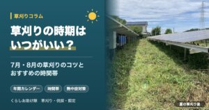 草刈りの時期はいつがいい？7月・8月の草刈りのコツとおすすめの時間帯