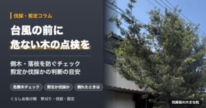 台風の前に危ない木の点検を 倒木・落枝を防ぐチェック 剪定か伐採かの判断の目安