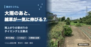 大雨のあと、雑草が一気に伸びる？雨上がりの草刈りのタイミングと注意点