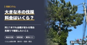 大きな木の伐採料金はいくら？