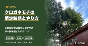 クロガネモチの剪定時期とやり方
