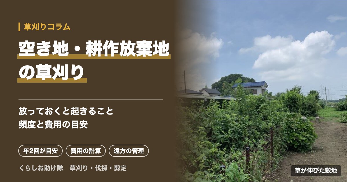 空き地・耕作放棄地の草刈り