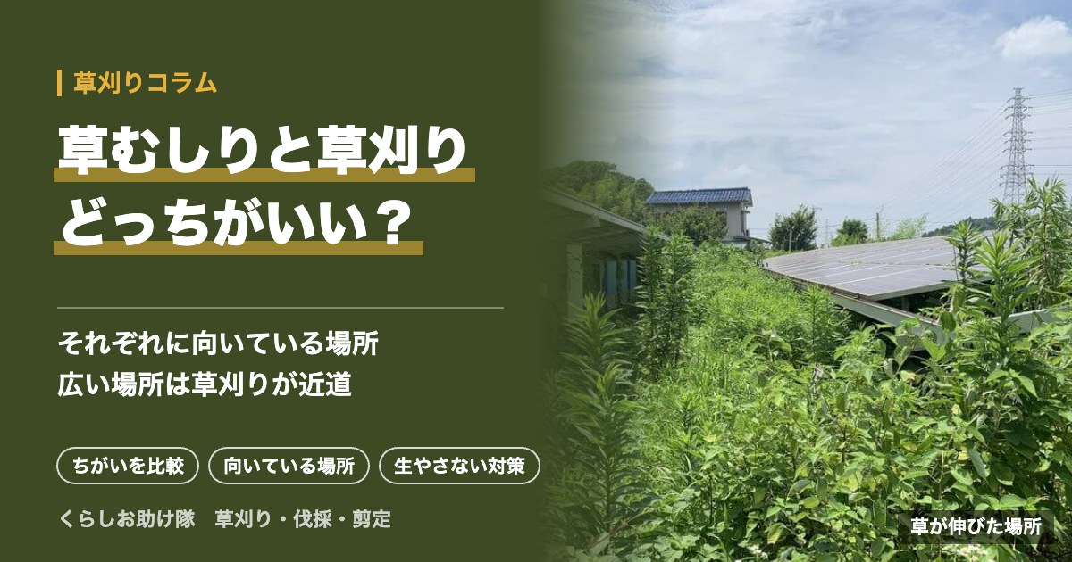 草むしりと草刈り、どっちがいい?