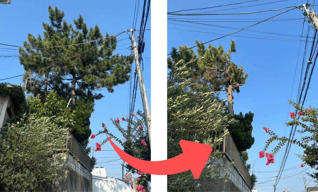 千葉の特殊伐採 高木対応ビフォーアフター