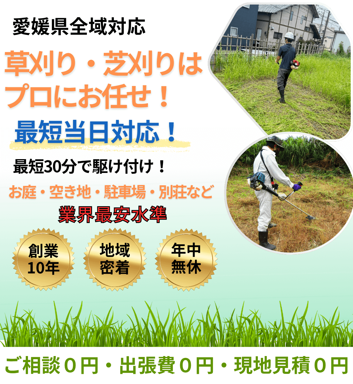 愛媛県全域対応 草刈り・芝刈りはプロにお任せ